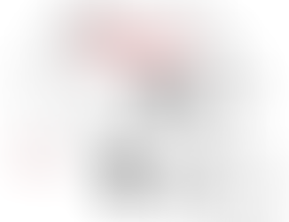 SNAPSHOT PREVIEW – MCPHERSON BULLPUP FOOTBALL
