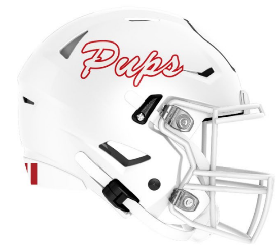 SNAPSHOT PREVIEW – MCPHERSON BULLPUP FOOTBALL