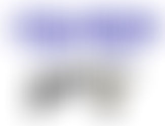 ELYRIA LADY EAGLES GET FIRST WIN