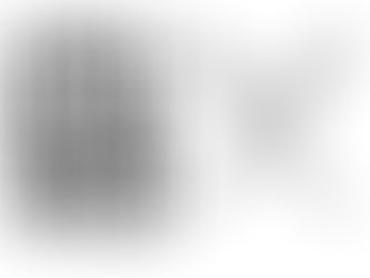 LITTLE RIVER SWEEPS EAGLES