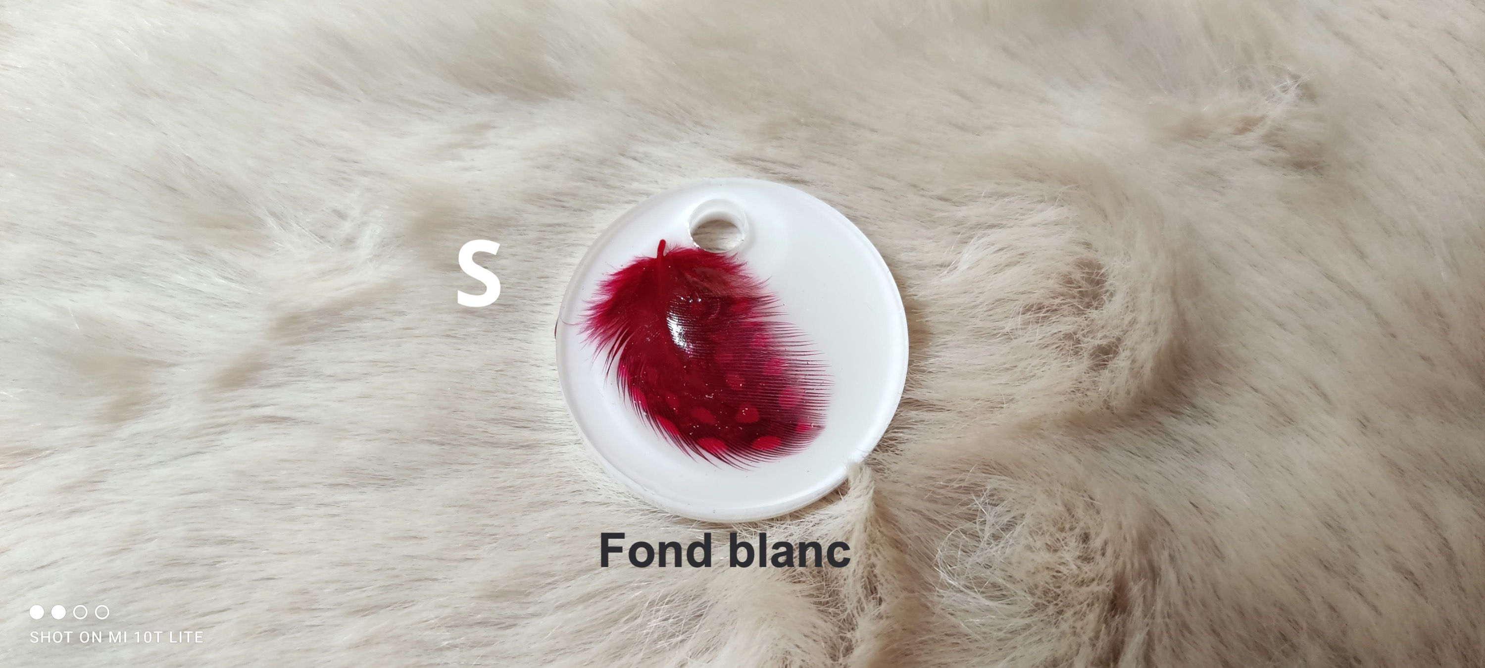 Les médailles" plume"