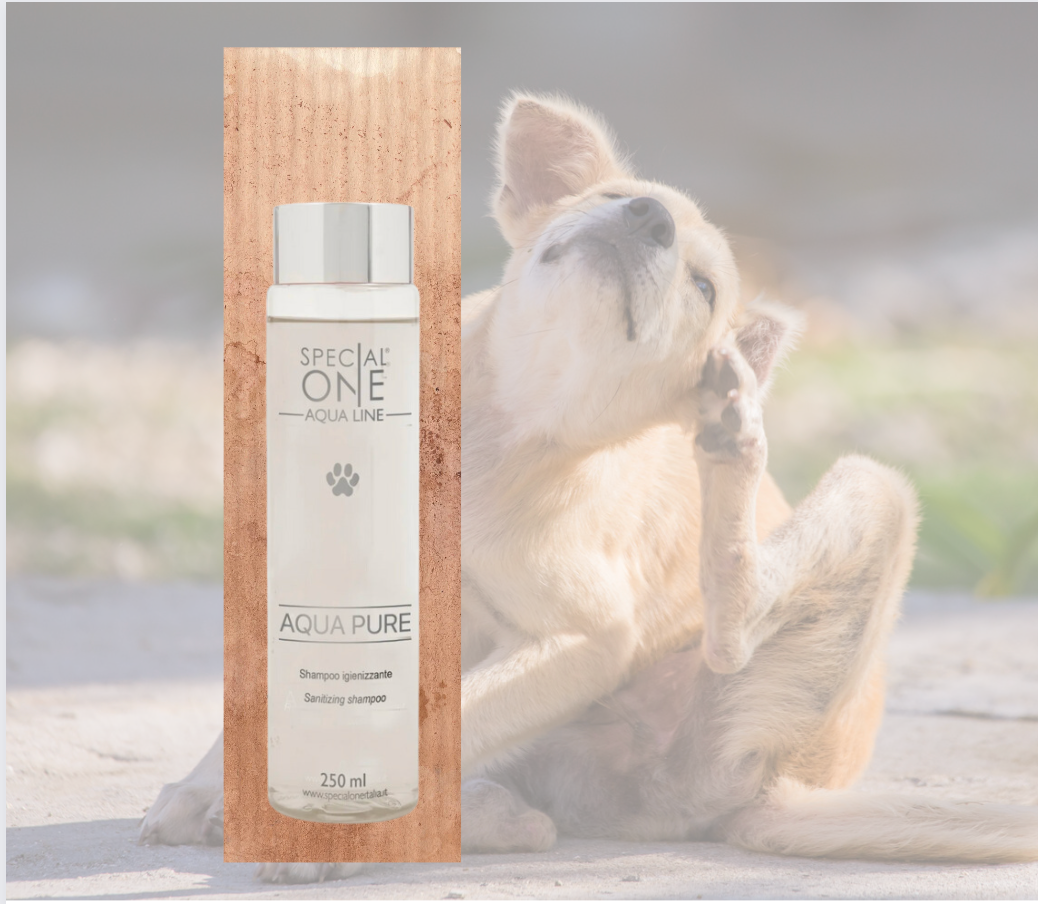 Shampoing AQUA PURE PRO  de SPECIAL ONE