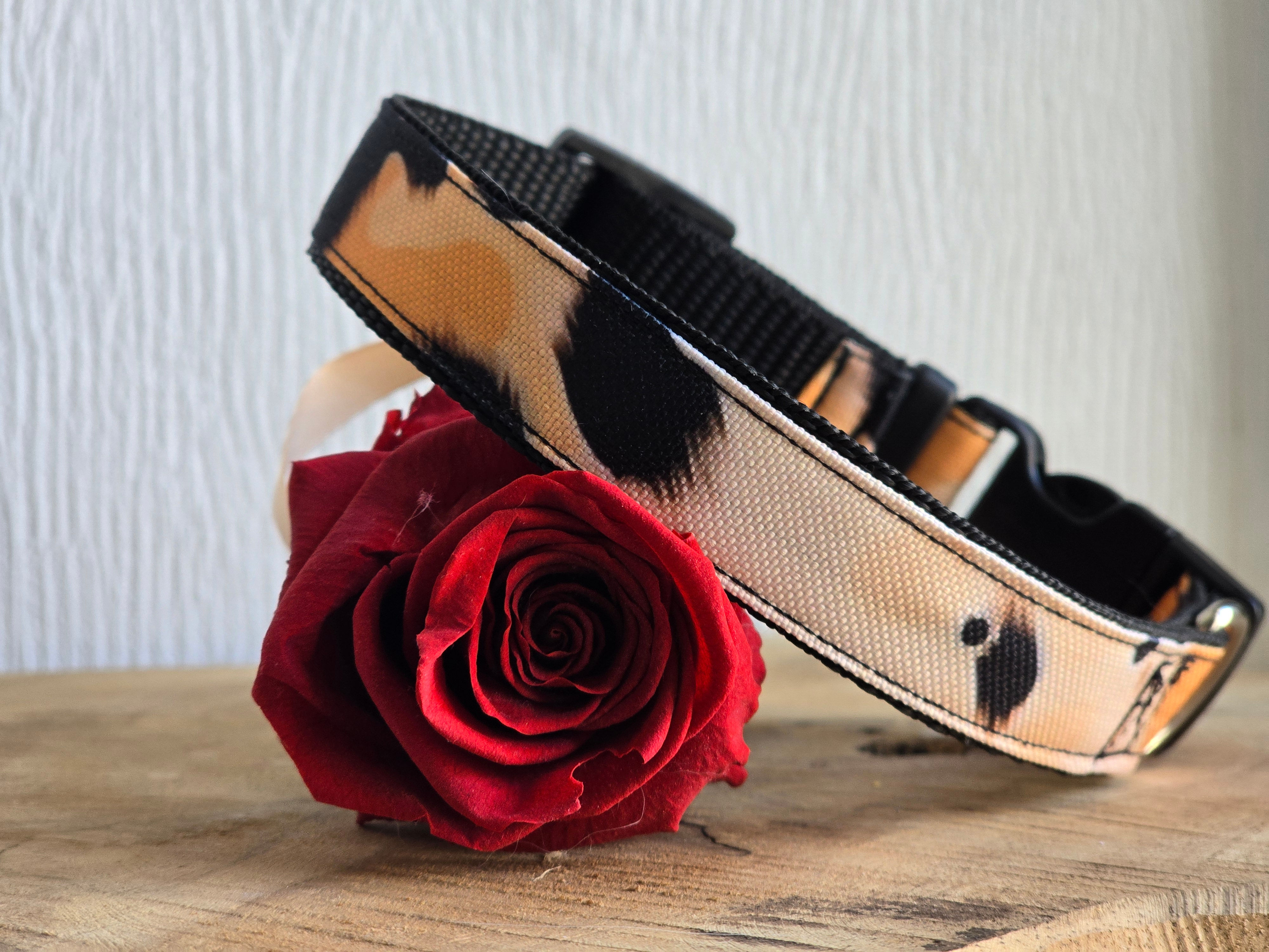 Collier Félino chic