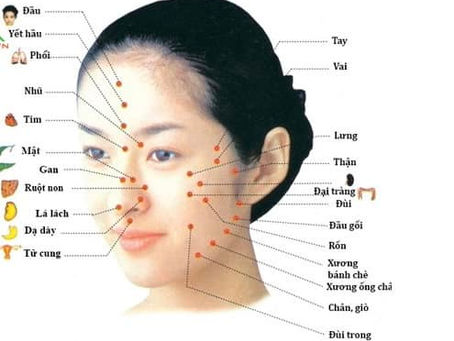 HUYỆT ĐẠO TRÊN MẶT