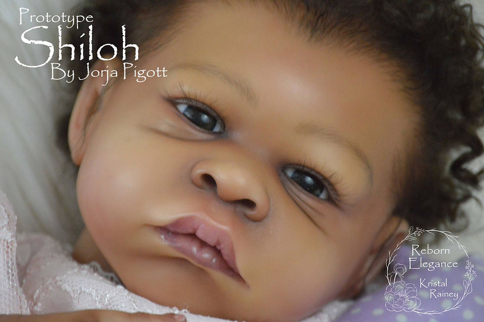 Thumbnail: Shiloh Limited Edition of 600 worldwide UNPAINTED, UNASSEMBLED Vinyl Kit