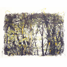 Wrekin drawing