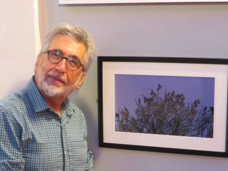 Shrewsbury Arts Trail