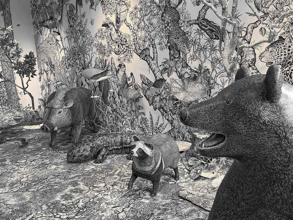 村山大明のインスタレーション