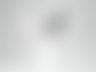 3-Draw Foliage plant series作品 新発売