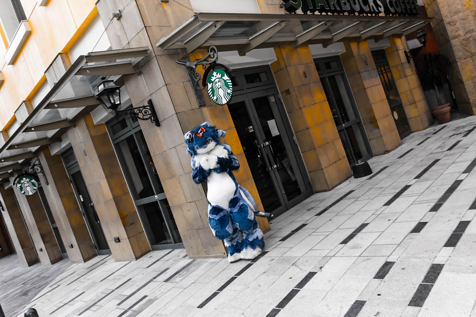 20151025-DSC_3634