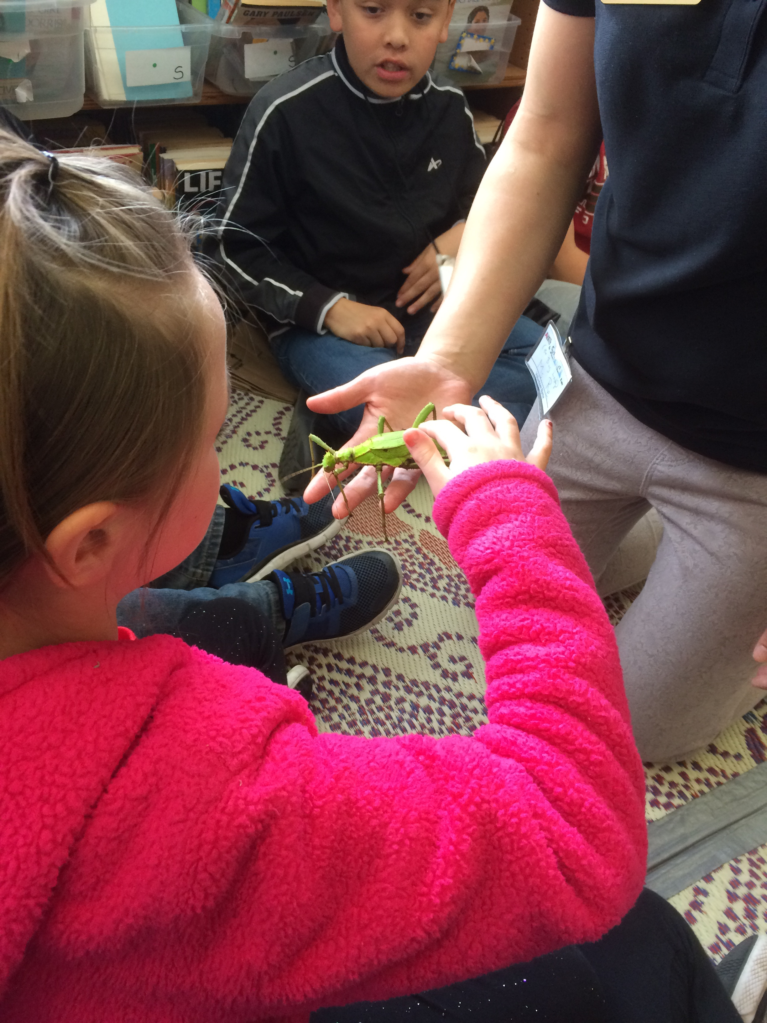 Comienza la Semana de las Artes y las Ciencias El Granada PTO