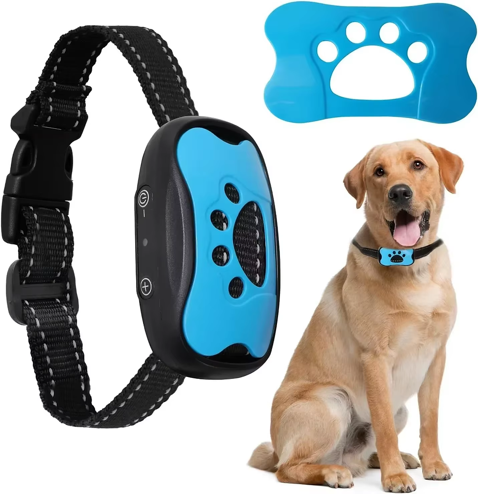 Pet Dog anti Barking Device USB Rechargeable Dogs Training Collar Ultrasonic Sto
