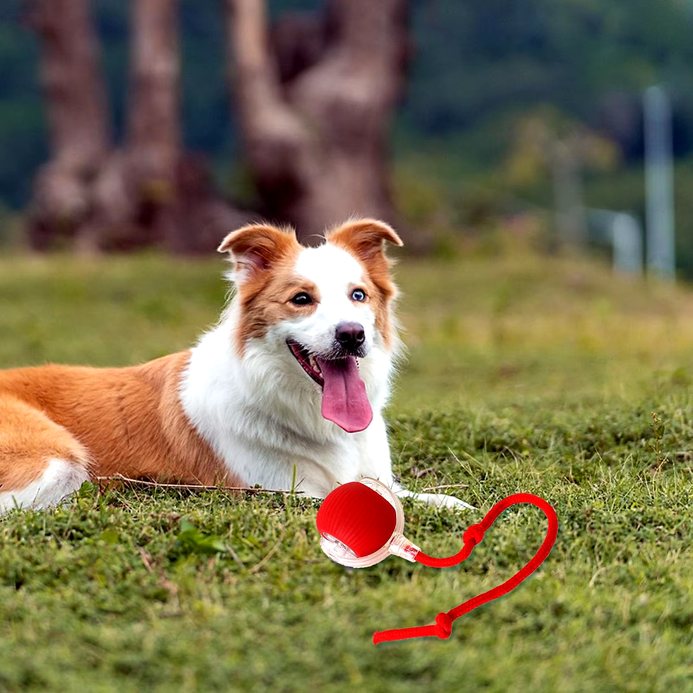 Thumbnail: Lettuce Interactive Cat Toys Rolling Ball, Smart Interactive Dog Toys, Electric 
