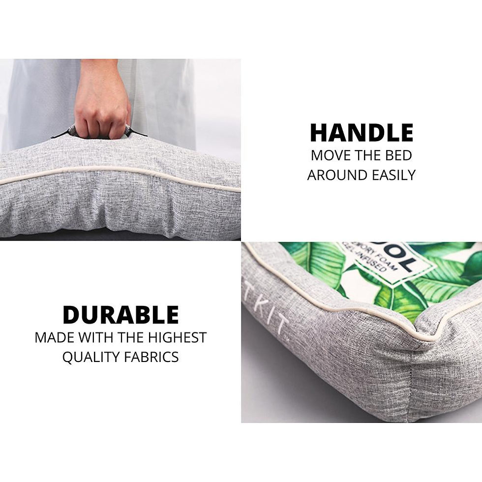 Thumbnail: Instachew PETKIT Reversible Cooling and Warming Pet Bed