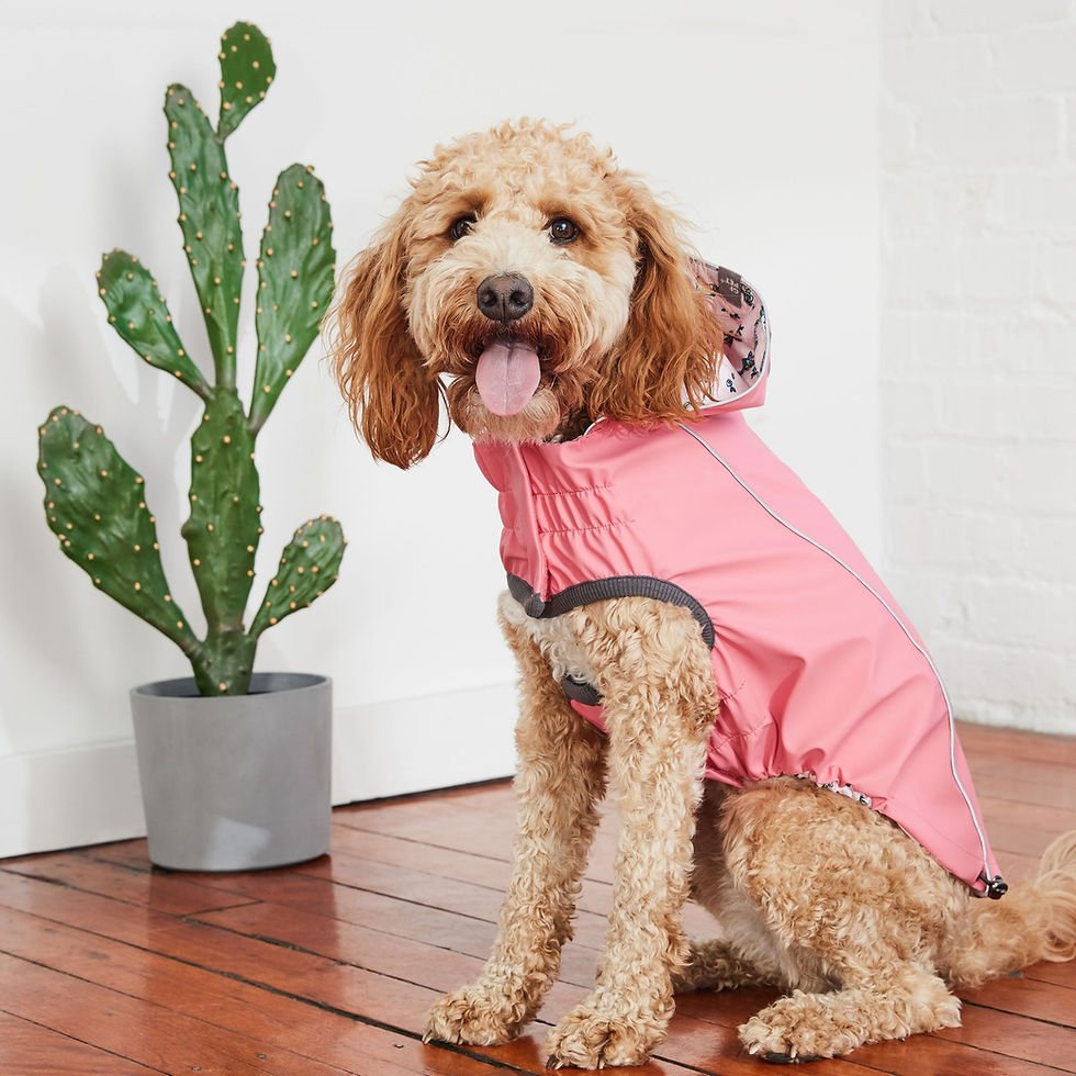 Thumbnail: Reversible Elasto-Fit Raincoat - Pink/Pink