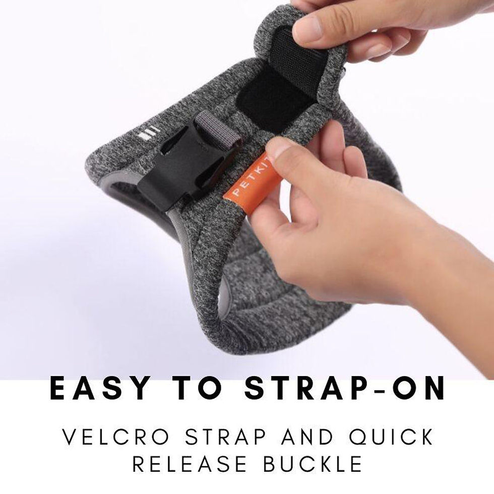 Thumbnail: Instachew PETKIT Air Pro Dog Harness