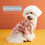 Thumbnail: UFBemo Customized Luxury Outing Pink Pet Dog Cat Puppy Clothes Sweater