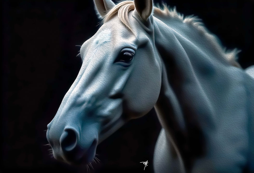CABALLO 04