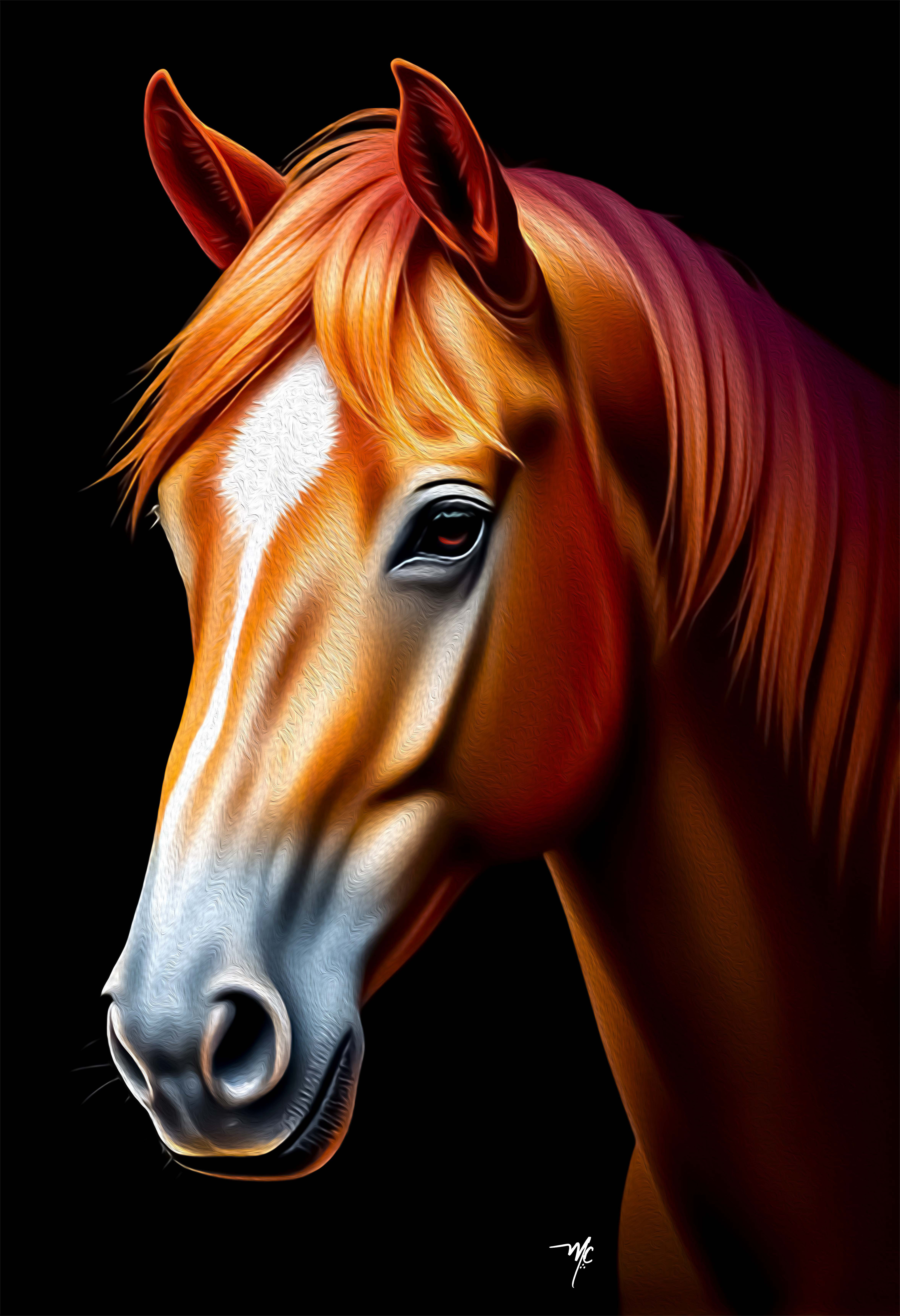 CABALLO