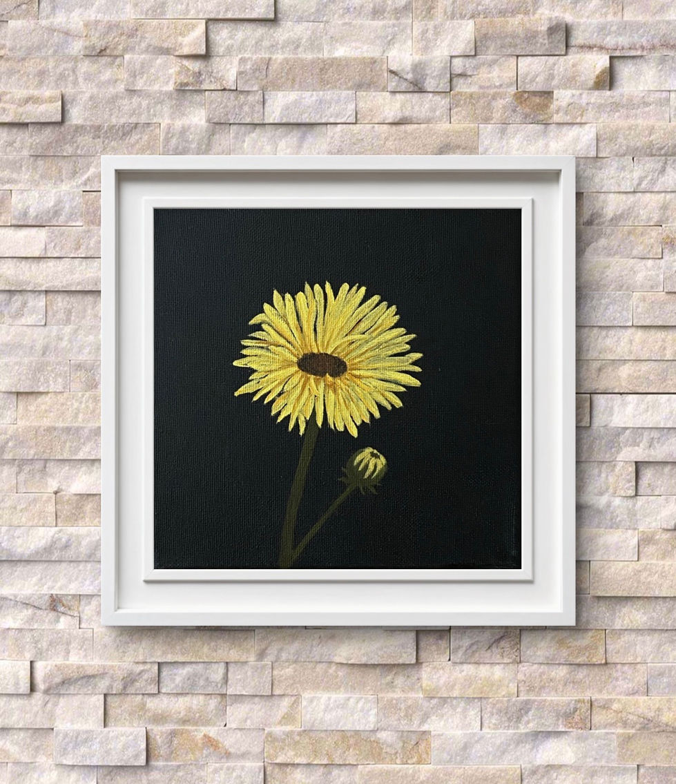 Mini Helianthus Study