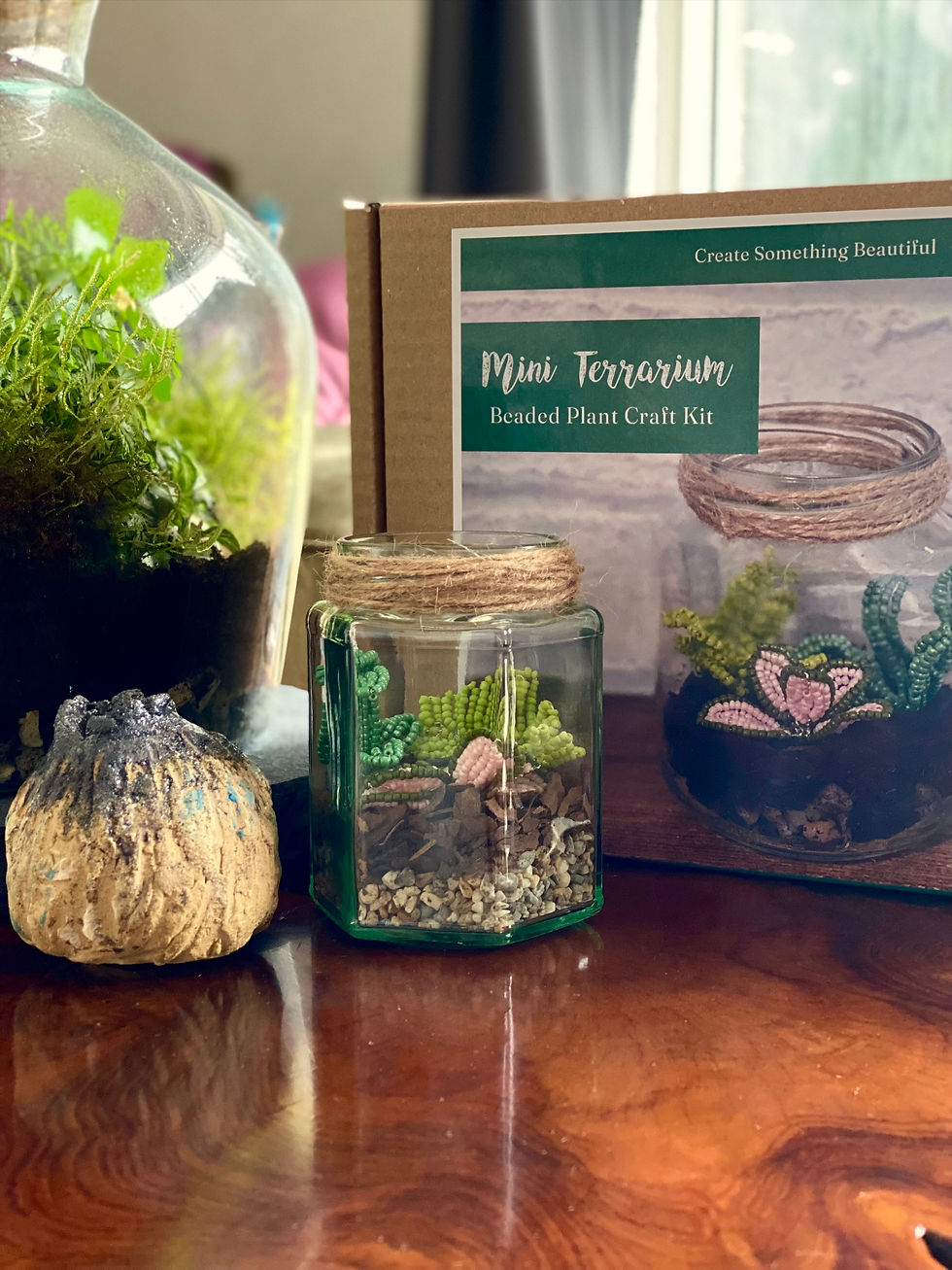 Thumbnail: Terrarium Craft Kit