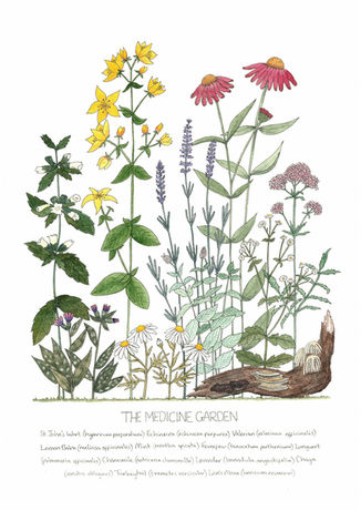The Medicine Garden Painting