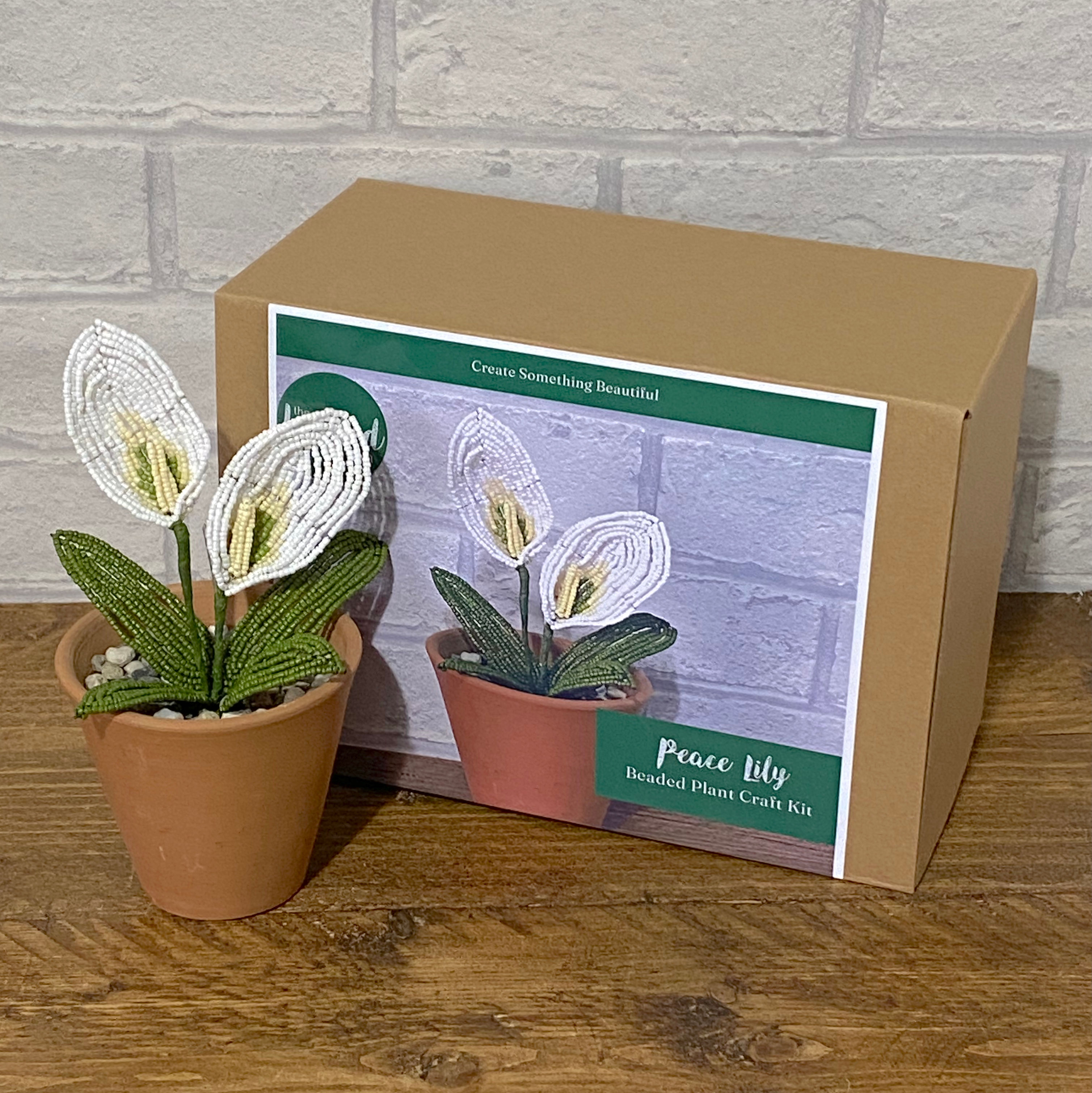 Peace Lily Craft Kit