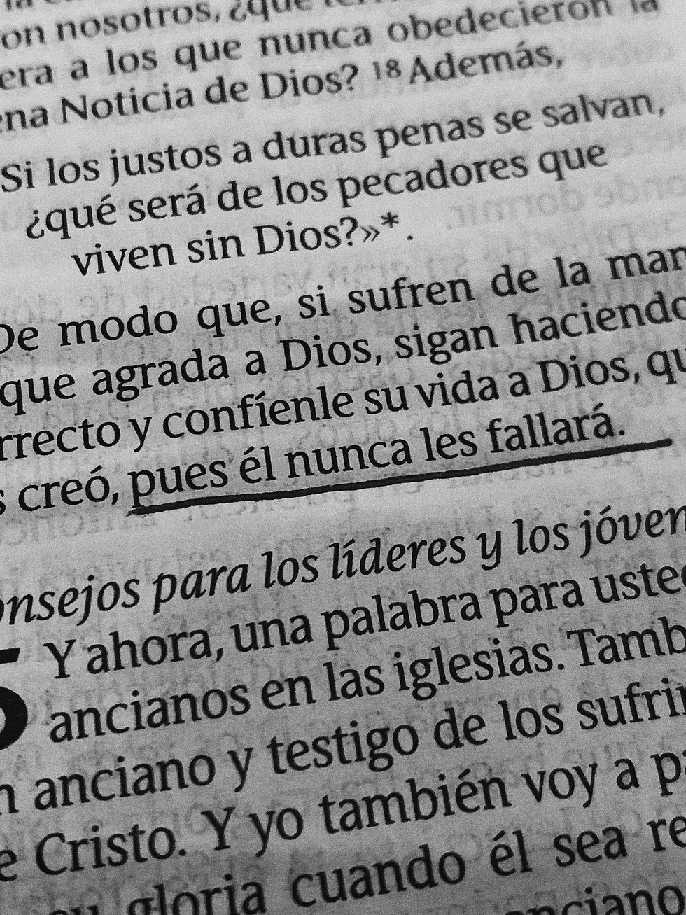 DIOS PROVEEDOR, PADRE FIEL. 