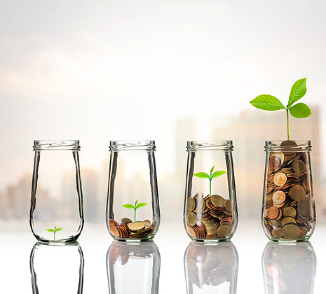 Gold coins and a seedling symbolising financial growth