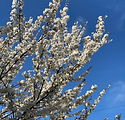 d7eadadb-3723-43af-9c70-bb4ec65be77d.JPG