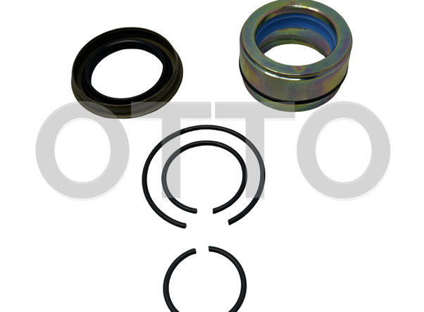 S124 Cabin Tilt Cylinder Repair Kit 1433655, 0444038