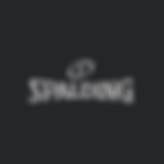Spalding Sports Equipment Logo