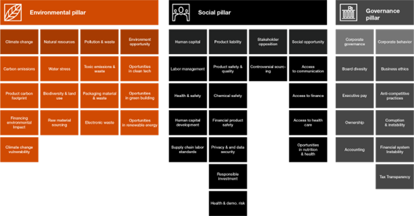 ESG-Bereiche: PWC Beispiel