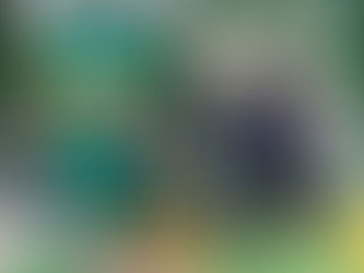 ESCUELA EN MOVIMIENTO: "FESTEJAMOS TODOS JUNTOS"