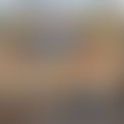 Jugando en Animalandia