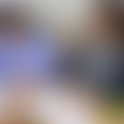 Primer encuentro de capacitación