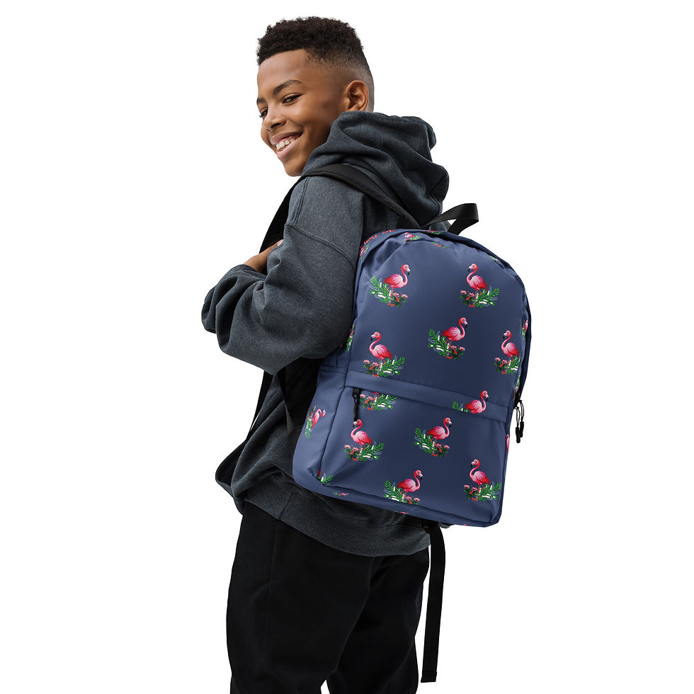 Thumbnail: A smiling boy hangs a flamingo designed backpack