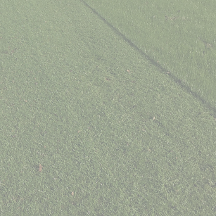 green%2520grass_edited_edited.png
