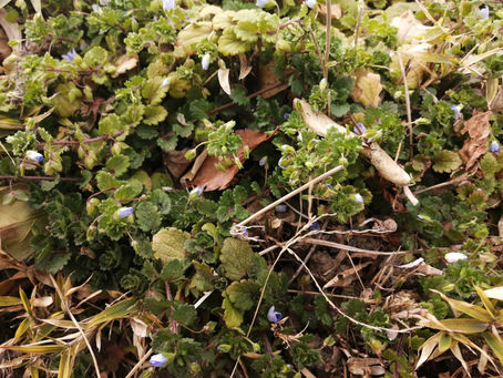 多極化していく中で、アップデートしていく。