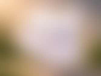 Un día, una ráfaga de viento la levantó del suelo y, sin avisar, comenzó su primera coreografía.