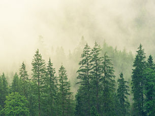 Are You Adding To, or Subtracting From Your Environment? 