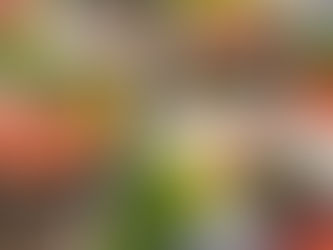 本部は“何もしない”―従業員の力で敬老の日を彩る