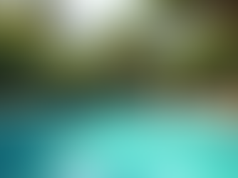 Energy-Efficient Tips for Homes with Swimming Pools