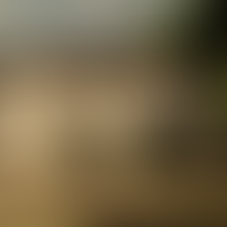 大分麦焼酎 二階堂