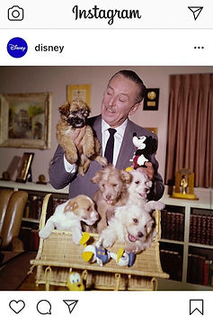 disney and puppy wheaten_edited.jpg