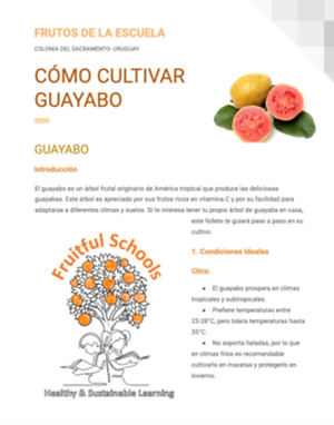 Screenshot 2026-01-15 at 17.39.19.png