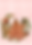 IMG_5432.png