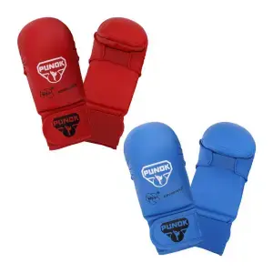 Karate Handschuh in blau und Rot