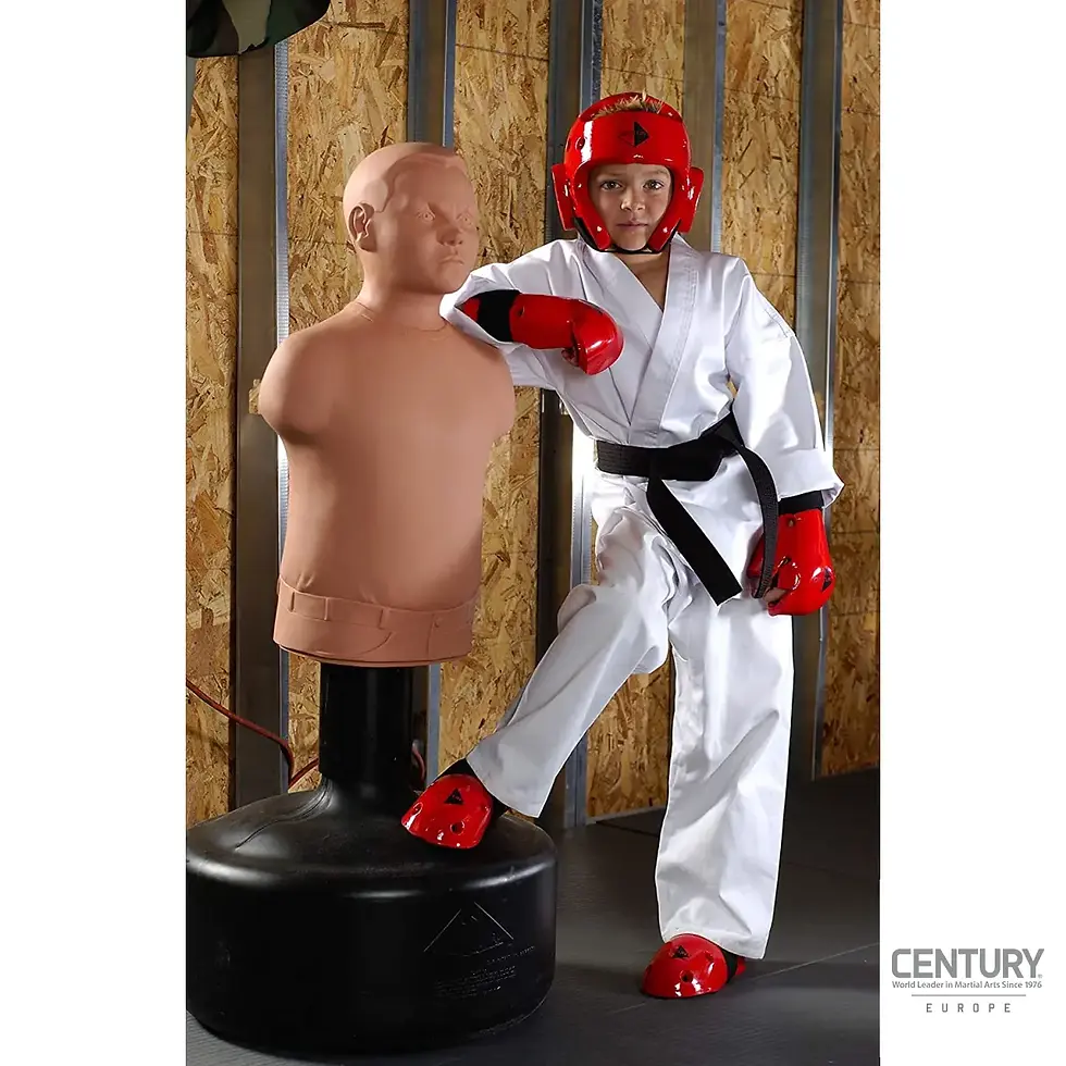 Miniaturbild: Boxdummy stehend mit Kämpfer im Einsatz