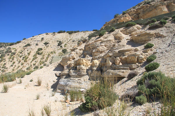 Fossil Butte 02.jpeg